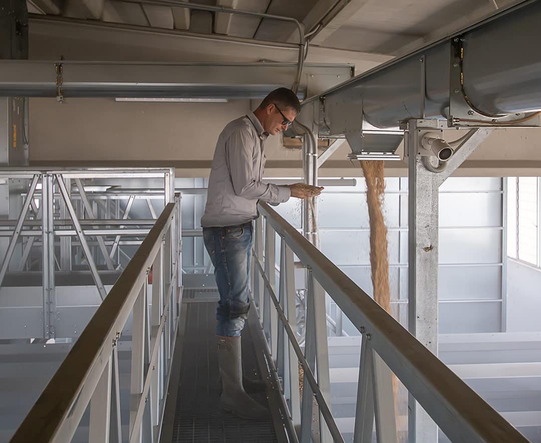silos stoccaggio del riso