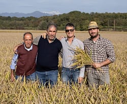 produttori riso piemonte